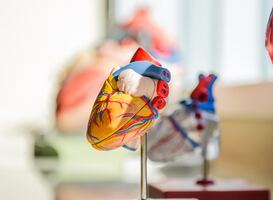 Meetmethode voorspelt kans op complicaties na hartinfarct nauwkeurig