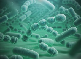 Oekraïense militairen nemen superbacteriën mee naar Nederland 