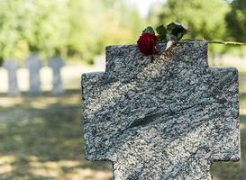 Normal_red-rose-on-concrete-tombstone-in-cemetery-2023-11-27-05-04-09-utc