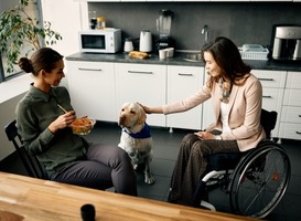 Normal_assistance-dog-with-businesswoman-in-wheelchair-an-2023-11-27-05-34-03-utc__2_