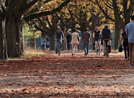 De natuur is van ‘cruciaal belang’ voor mentale gezondheid jongeren