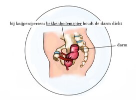 bekkenfysiotherapie helpt tegen anale pijn