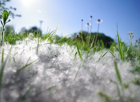 Nieuw algoritme kan allergie bij kinderen vaststellen