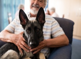 'Maak hond vast onderdeel van activiteitenprogramma verpleeghuis'