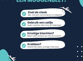 Waarom zijn zwangere vrouwen aantrekkelijker voor muggen?