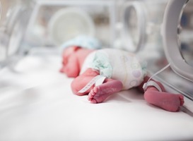 Sanquin-onderzoeker bekroond voor inzicht in transfusies bij premature baby’s