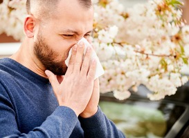 Steeds meer Nederlanders hebben last van allergieën